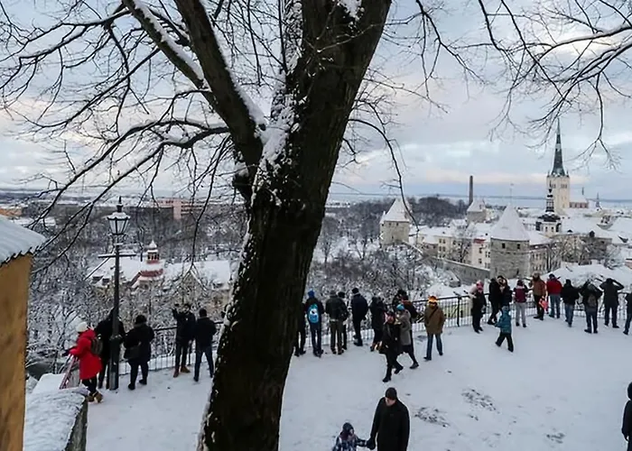 Διαμέρισμα Luxury Medieval 2 Storey With Antique Furniture In Old Town Ταλίν